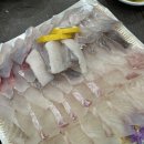 문성회센터 | 구미 문성 횟집 회센터 모듬회 3인 후기 내돈내산