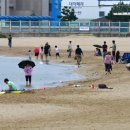 포항시북구46 이미지