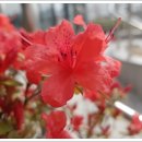 우정빌딩 앞 이미지