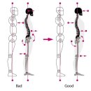 둥근힘 프롭운동 이미지