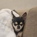 스테이 그리다 이미지