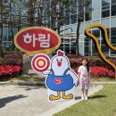 우리고장과 함께하는 어반스케치 | 하림 HCR 견학 포함 피오봉사단 13기 발대식 후기 아이와 함께하기 좋은 체험학습