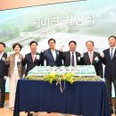 에코메디 이미지