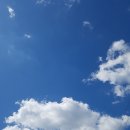 행정사 이기수 사무소 이미지