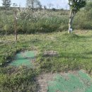 합천골프연습장 | 파크골프(카바론) 시공문의