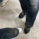 조형관 화장실 이미지