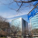 벤처밸리공인중개사사무소 | 판교 사무실 임대 실제 기준 총정리 판교테크노밸리 A블록 중심으로 보는 오피스 선택 방법