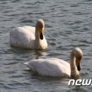 조류보호협회 밀양시지회 이미지