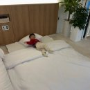 경주 신상 독채 풀빌라 | 구공스테이 숲결 | 26개월 아기랑 방문 후기