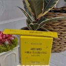 샤인 | 식물성콜라겐 샤인비타 제품 후기