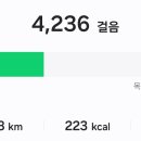 에이치제이시스템