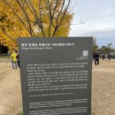 송백자전거도로 | 은행나무 주차정보 / 가을여행추천 / 솔직 방문후기!! / 여주여행코스 / 카페여주 / 송백보리밥 / 강천섬