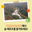국립춘천숲체원 이미지