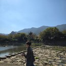 오르새피자 거제고현점 | 거제고현맛집 암파스타레 브런치 (파스타, 피자) 솔직후기