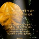 르솔트