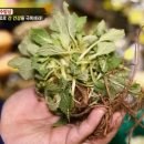 천수한의원 이미지