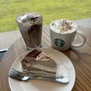 3232 | 포항 흥해읍 초곡 가슴이 뻥 트이는 논밭뷰 스타벅스