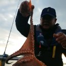 나라3호 이미지