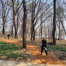 시민문화체육공원 산책로 이미지