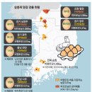 친환경농장 이미지