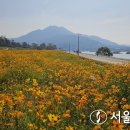 노랑통신 이미지