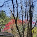 꿈바위유치원 이미지