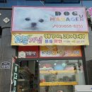 도그매니저 이미지