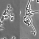 군포굿닥터동물병원 이미지