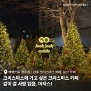 잭커피 | 진주 크리스마스 카페 짹짹커피 : 같이 갈 사람 없음, 아자스! 그래도 가야징.