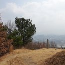 칠곡 수리봉/ 매봉 - 잠산 - 장태실마을 원점( 대구. 북구 ) 이미지