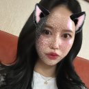 코이헤어 이미지