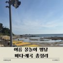 무의도 빨간지붕호스텔 | 아이랑 여름 물놀이 명당 바다·계곡 다녀온 곳 정리했어요