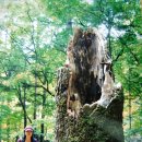 봉평농장 이미지