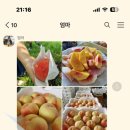 황복농장 네이버블로그