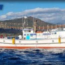 김선장펜션민박 이미지