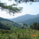 사계절농장 이미지