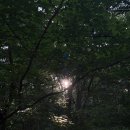 와비사비 이미지