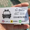 하이펫스(hi pet`s) | &lt;Review&gt;하이펫스_반려동물 펫택시 서비스