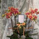 마이티농장 이미지