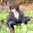 소통농장 이미지