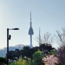 남산공원길2 이미지