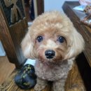 우농서원 이미지