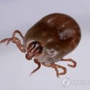 우리가축약품 이미지