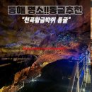광석정비 | [동해 가볼만 한곳] 강원도 동해 핫플 공개! 황금박쥐 만나는 &#34;천곡동굴&#34; 탐험기