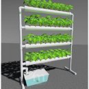 바이-수경 이미지