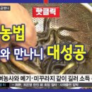 경농사 이미지
