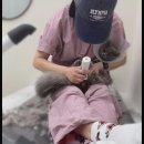 냐홍 고양이미용호텔 네이버블로그