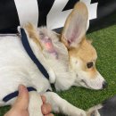 크로스핏 쿠타짐 영등포 이미지