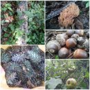 방글농장 이미지