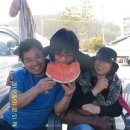 벌교 중앙초교 이미지